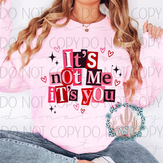 It's Not Me It's You Sweater or Tee